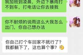 垫江侦探社